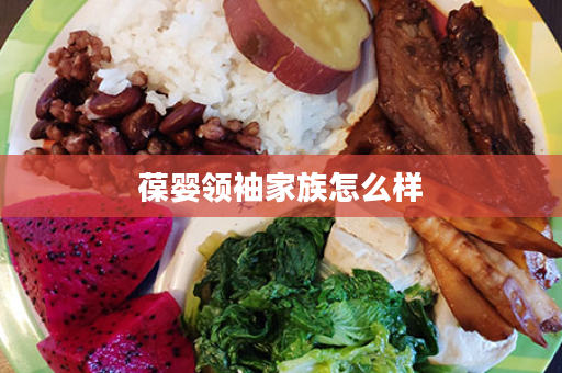 葆婴领袖家族怎么样