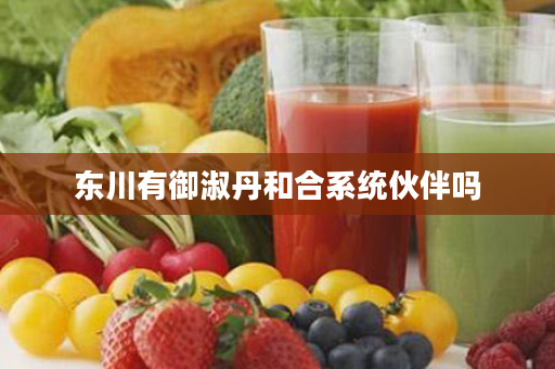东川有御淑丹和合系统伙伴吗
