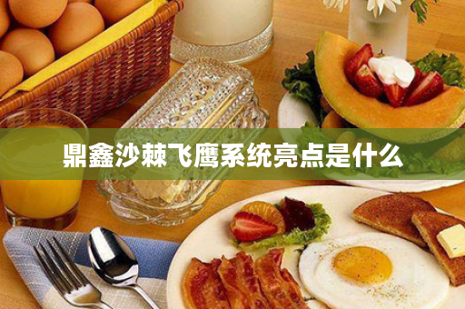 鼎鑫沙棘飞鹰系统亮点是什么