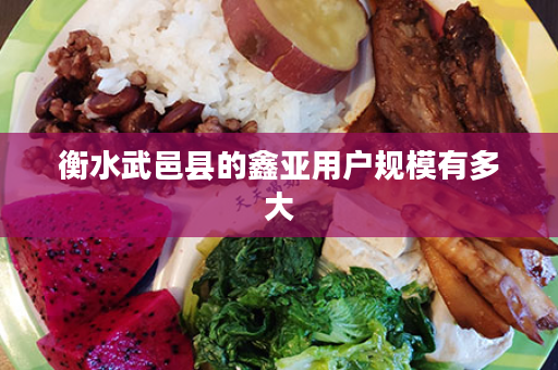 衡水武邑县的鑫亚用户规模有多大