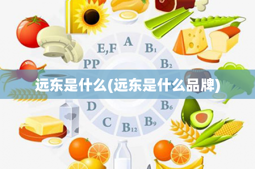 远东是什么(远东是什么品牌)