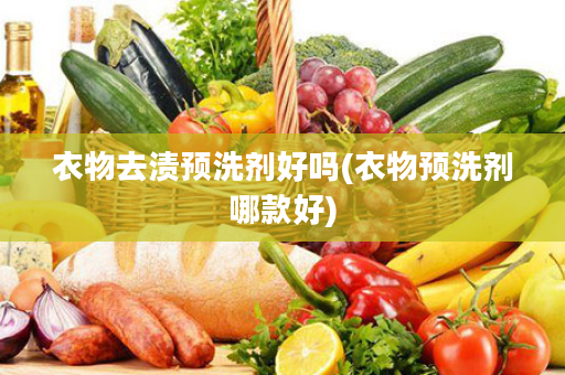 衣物去渍预洗剂好吗(衣物预洗剂哪款好)