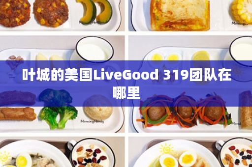 叶城的美国LiveGood 319团队在哪里