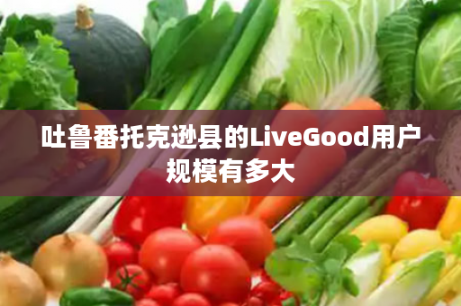 吐鲁番托克逊县的LiveGood用户规模有多大