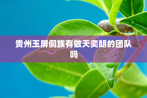 贵州玉屏侗族有做天奕朗的团队吗