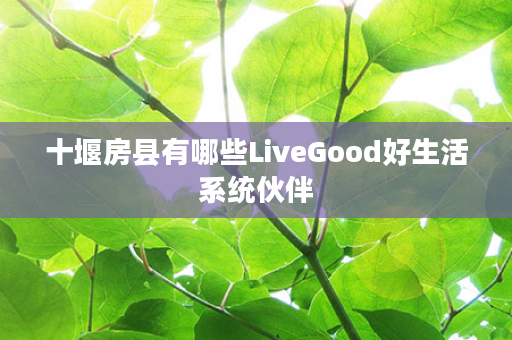 十堰房县有哪些LiveGood好生活系统伙伴