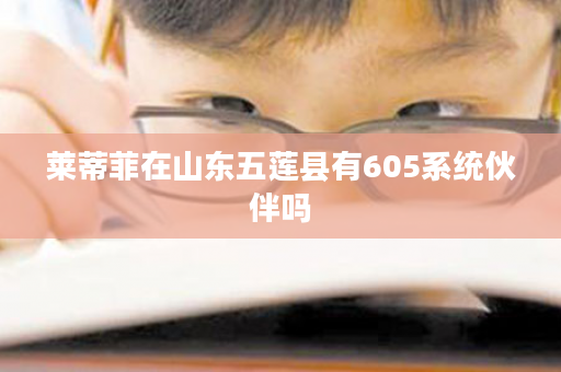 莱蒂菲在山东五莲县有605系统伙伴吗