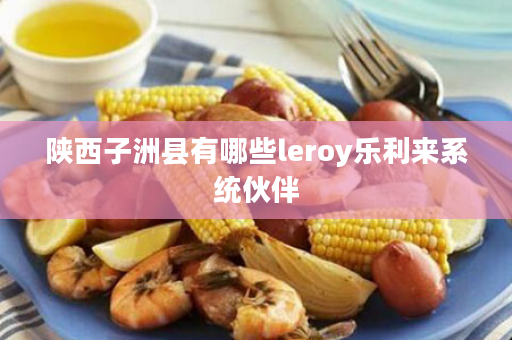 陕西子洲县有哪些leroy乐利来系统伙伴