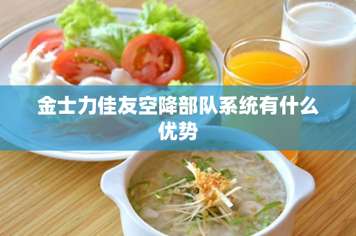 金士力佳友空降部队系统有什么优势