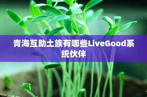 青海互助土族有哪些LiveGood系统伙伴