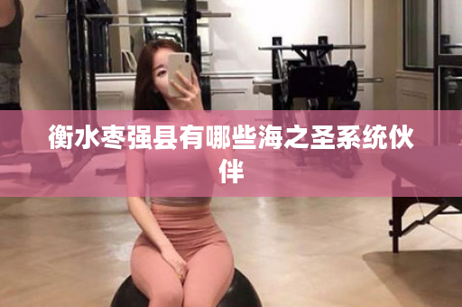 衡水枣强县有哪些海之圣系统伙伴