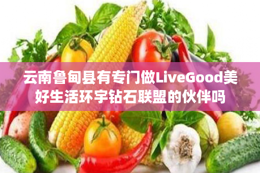 云南鲁甸县有专门做LiveGood美好生活环宇钻石联盟的伙伴吗