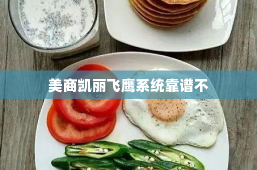 美商凯丽飞鹰系统靠谱不