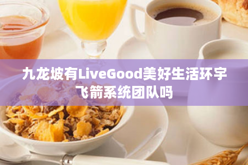 九龙坡有LiveGood美好生活环宇飞箭系统团队吗