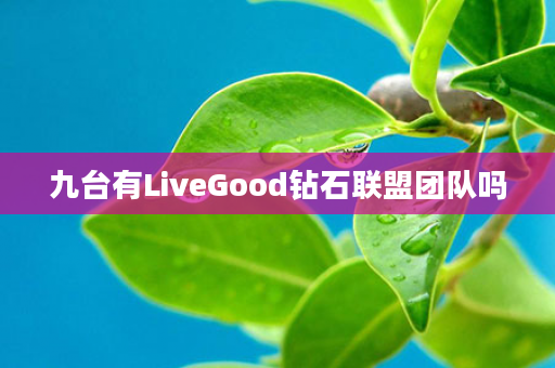 九台有LiveGood钻石联盟团队吗