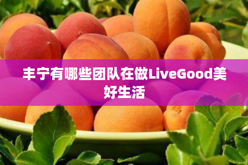 丰宁有哪些团队在做LiveGood美好生活