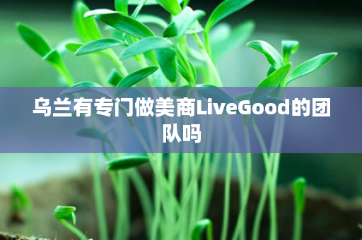 乌兰有专门做美商LiveGood的团队吗