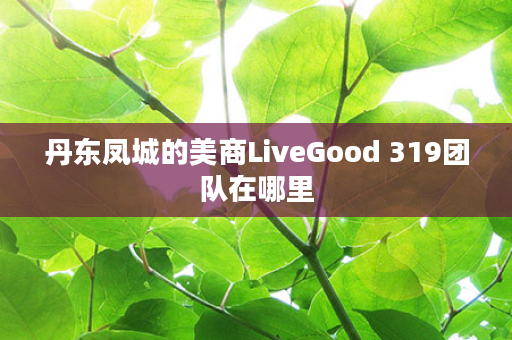 丹东凤城的美商LiveGood 319团队在哪里