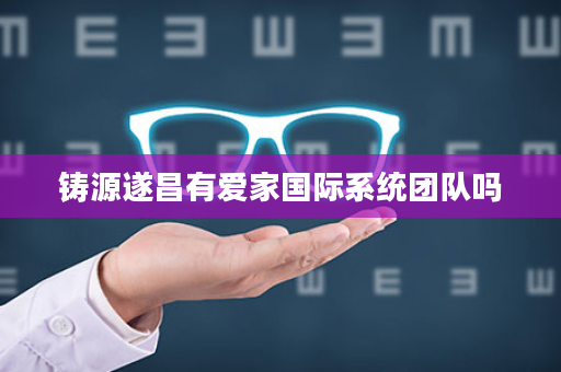 铸源遂昌有爱家国际系统团队吗