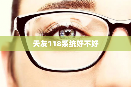 天友118系统好不好