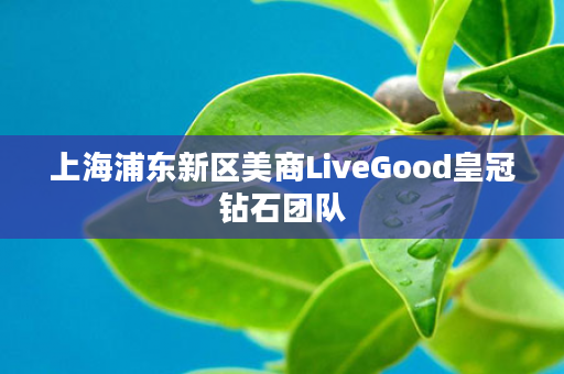 上海浦东新区美商LiveGood皇冠钻石团队