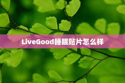 LiveGood睡眠贴片怎么样