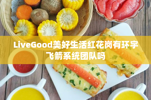 LiveGood美好生活红花岗有环宇飞箭系统团队吗