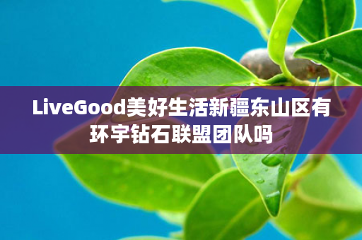 LiveGood美好生活新疆东山区有环宇钻石联盟团队吗