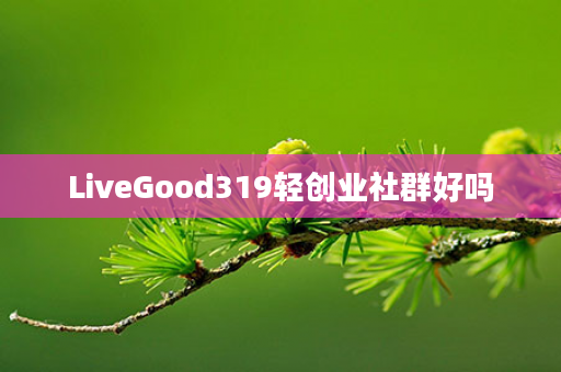 LiveGood319轻创业社群好吗