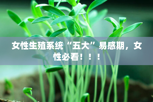 女性生殖系统“五大”易感期，女性必看！！！