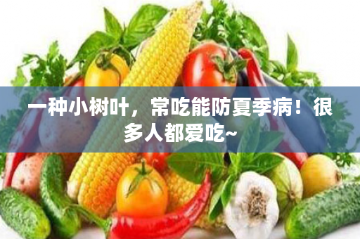 一种小树叶，常吃能防夏季病！很多人都爱吃~