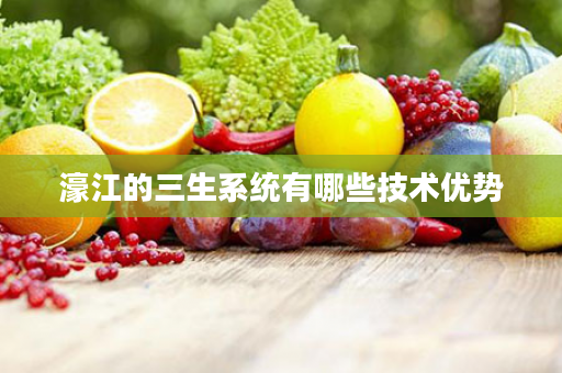濠江的三生系统有哪些技术优势