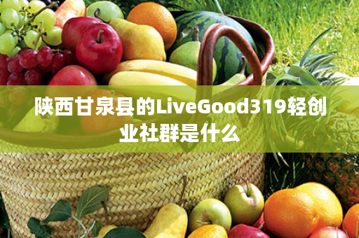 陕西甘泉县的LiveGood319轻创业社群是什么