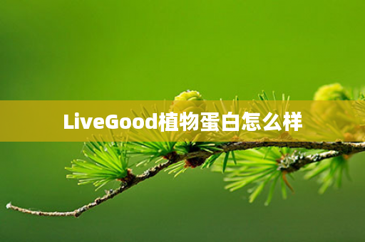 LiveGood植物蛋白怎么样