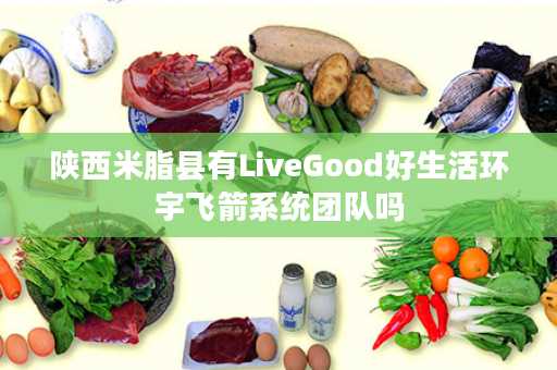 陕西米脂县有LiveGood好生活环宇飞箭系统团队吗