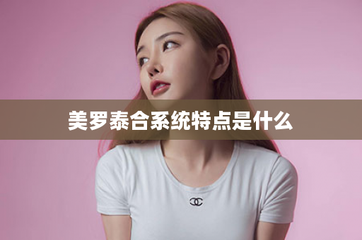 美罗泰合系统特点是什么