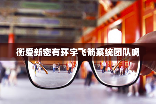 衡爱新密有环宇飞箭系统团队吗