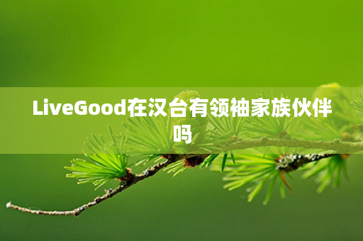 LiveGood在汉台有领袖家族伙伴吗