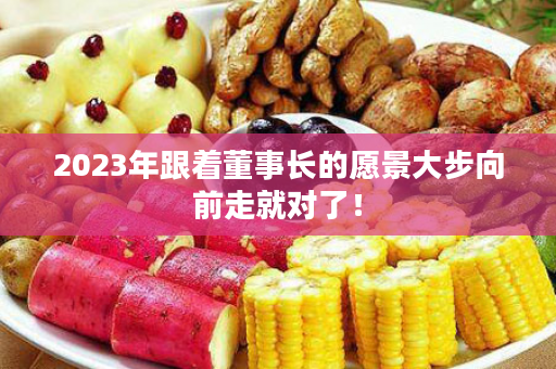 2023年跟着董事长的愿景大步向前走就对了！