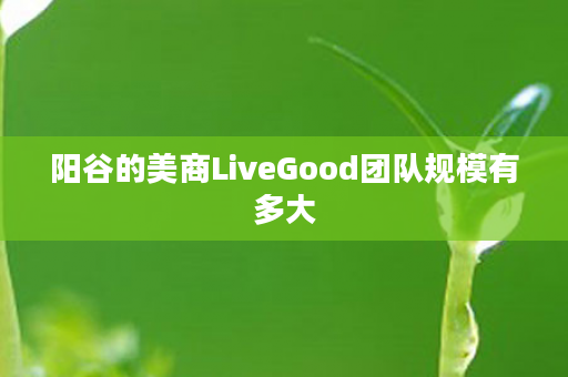 阳谷的美商LiveGood团队规模有多大