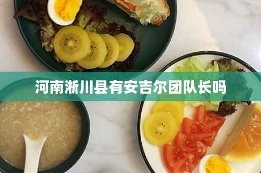 河南淅川县有安吉尔团队长吗