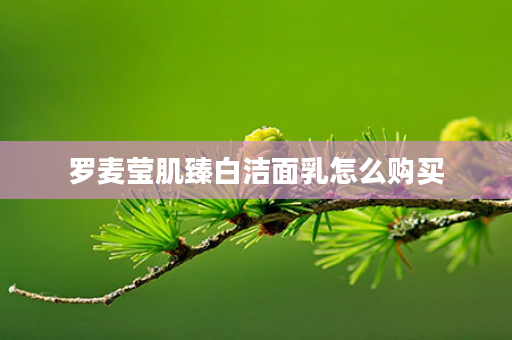 罗麦莹肌臻白洁面乳怎么购买