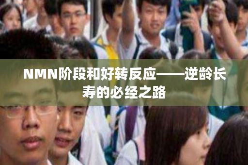 NMN阶段和好转反应——逆龄长寿的必经之路