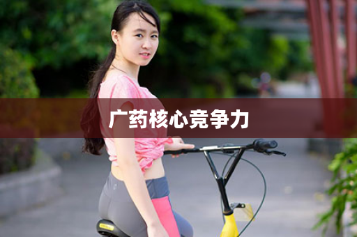 广药核心竞争力