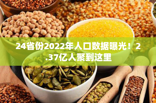 24省份2022年人口数据曝光！2.37亿人聚到这里