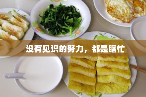   没有见识的努力，都是瞎忙
