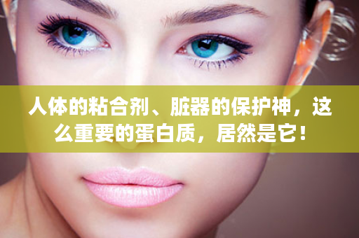 人体的粘合剂、脏器的保护神，这么重要的蛋白质，居然是它！