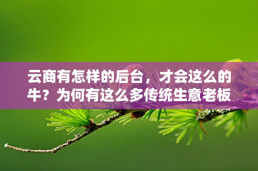 云商有怎样的后台，才会这么的牛？为何有这么多传统生意老板，外企高管，纷纷转战直销创业！
