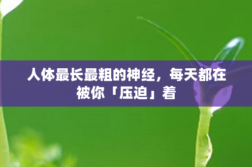人体最长最粗的神经，每天都在被你「压迫」着
