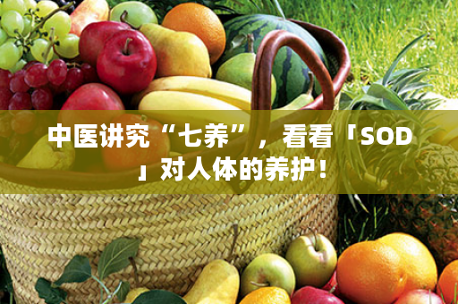 中医讲究“七养”，看看「SOD」对人体的养护！